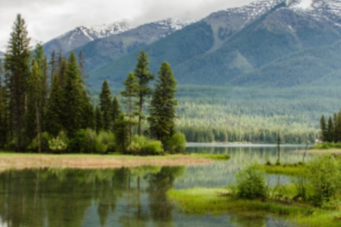 Mindfulness in Online Learning